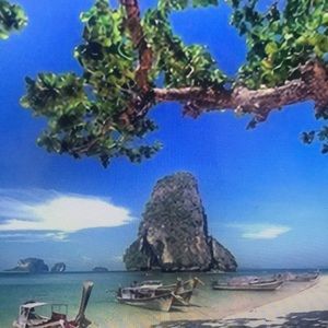 Meet your Posher, Ari